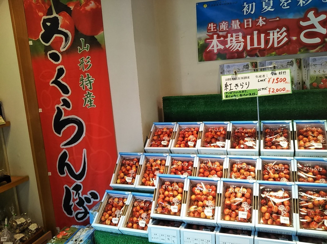 Sagae Service Area Inbound-寒河江市必去景点