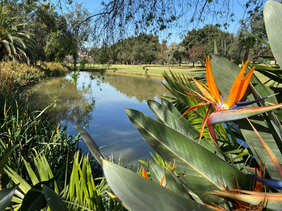 Glendower Golf Club景点图片