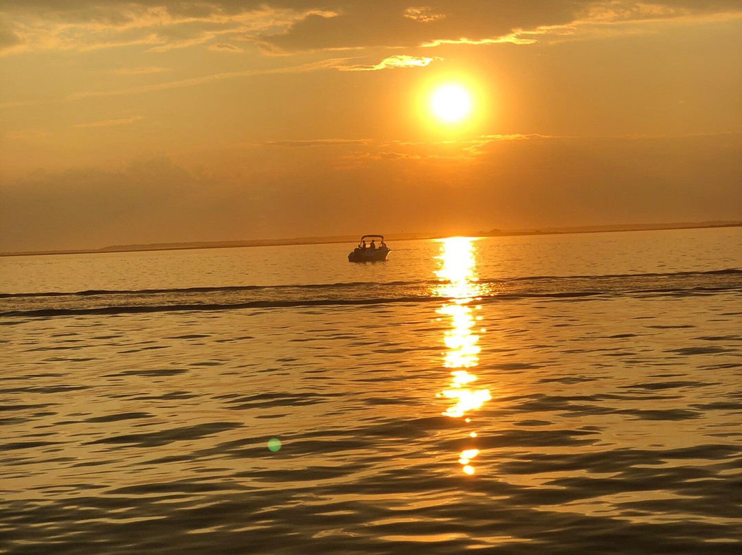 LBI Boat Tours景点图片