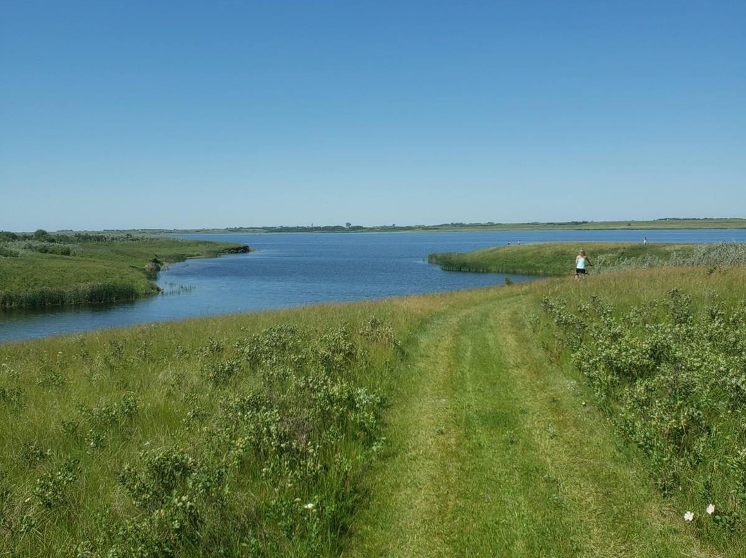 Moose Creek Regional Park景点图片