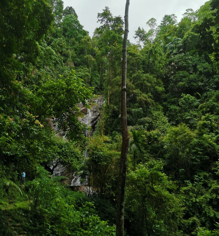 Paradise Eco Garden主图