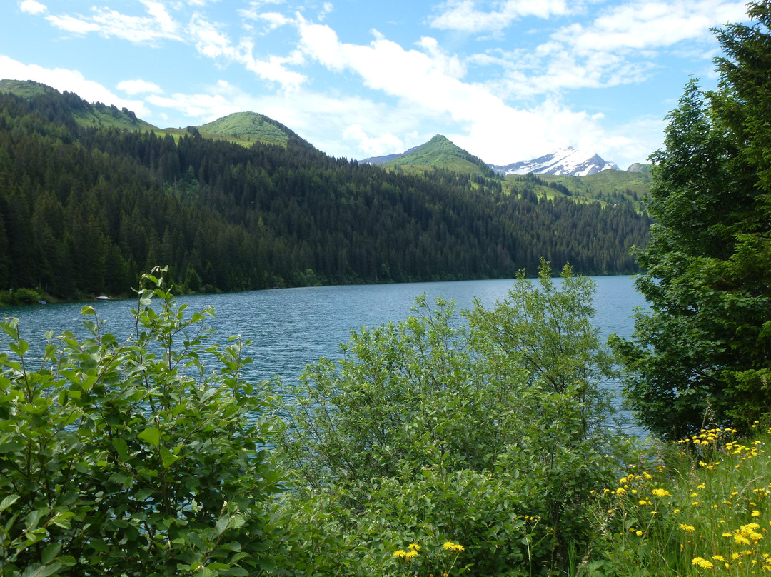 Arnensee-Feutersoey必去景点