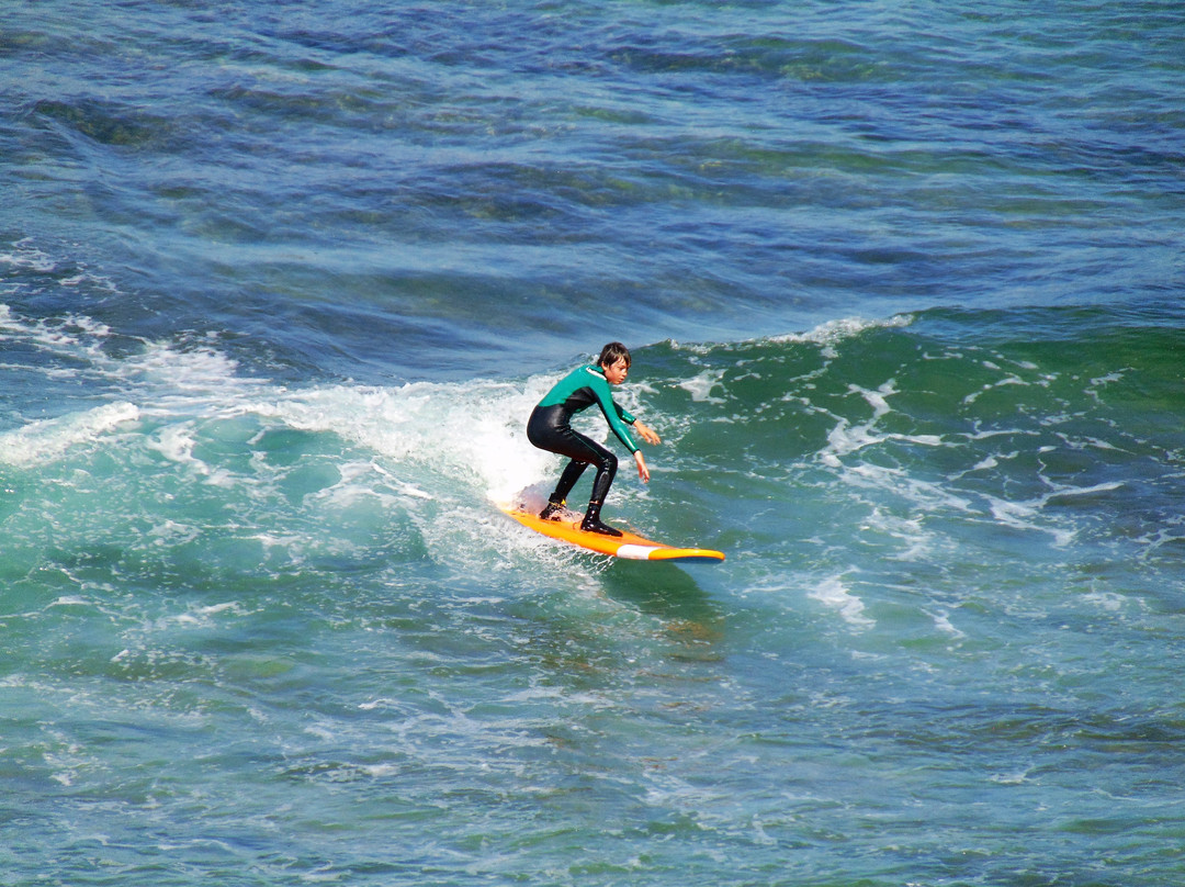 Sintra Surf School景点图片