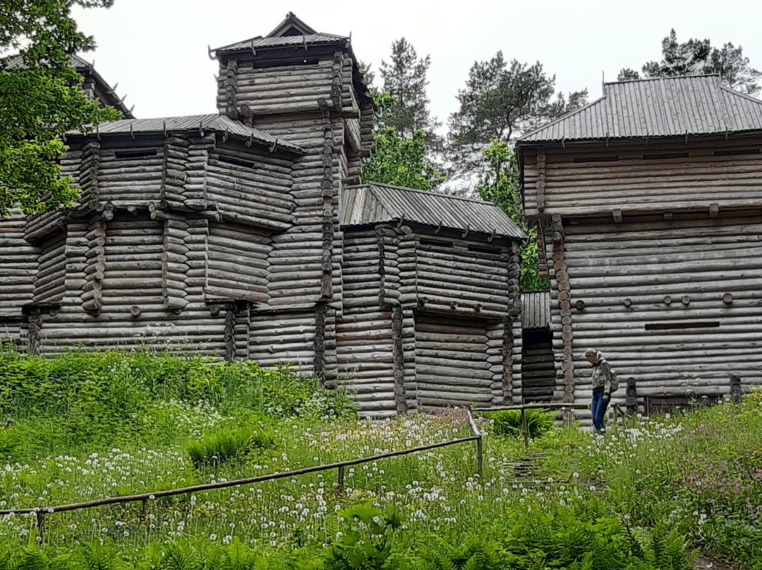 Tērvetes Wooden Castle景点图片