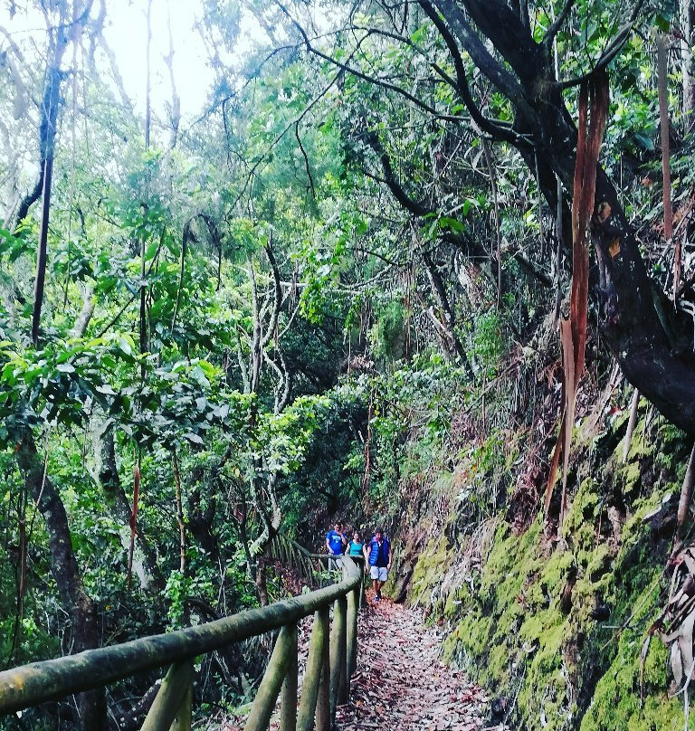 Levada do Castelejo景点图片