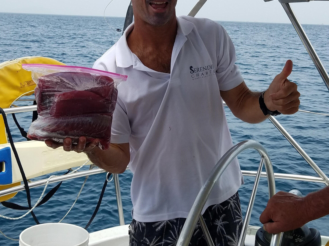 Serendipity Charters-Sailing Costa Rica景点图片