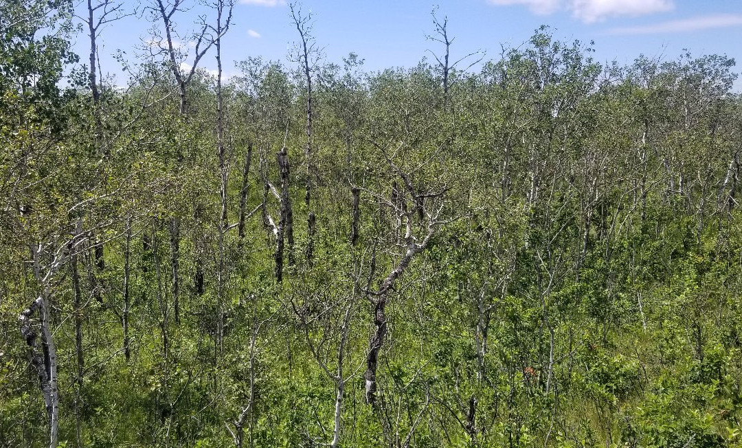Douglas Provincial Park-Elbow必去景点