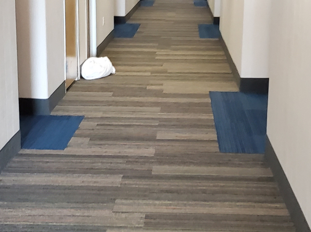 Holiday Inn Express & Suites Austin Ne - Hutto By IHG主图