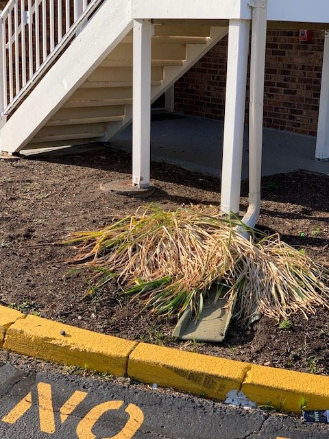 Residence Inn Shelton Fairfield County主图