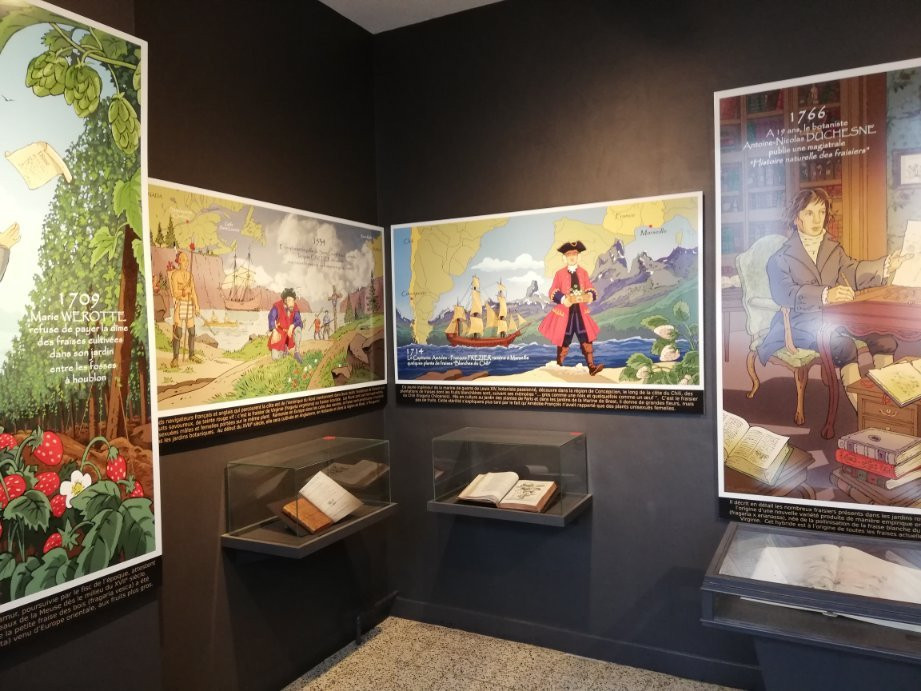 Musée de la Fraise景点图片