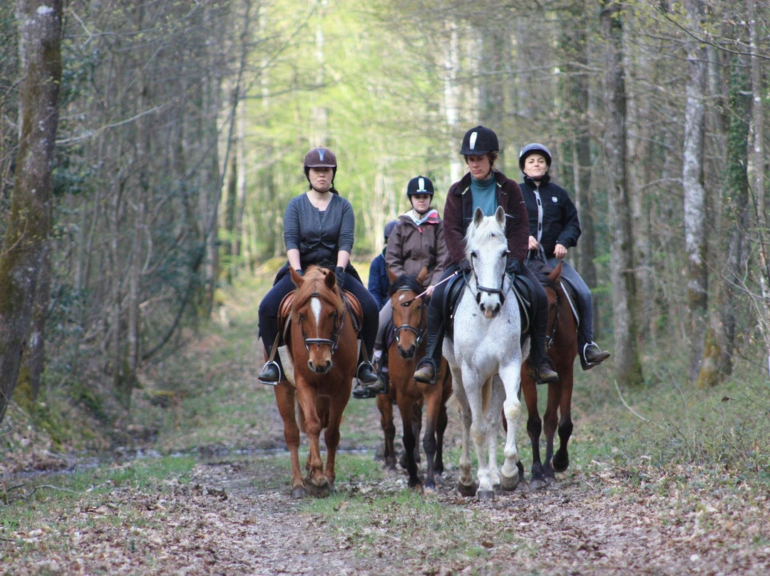 Randonnez Cheval Ô Centre-Lamotte-Beuvron必去景点