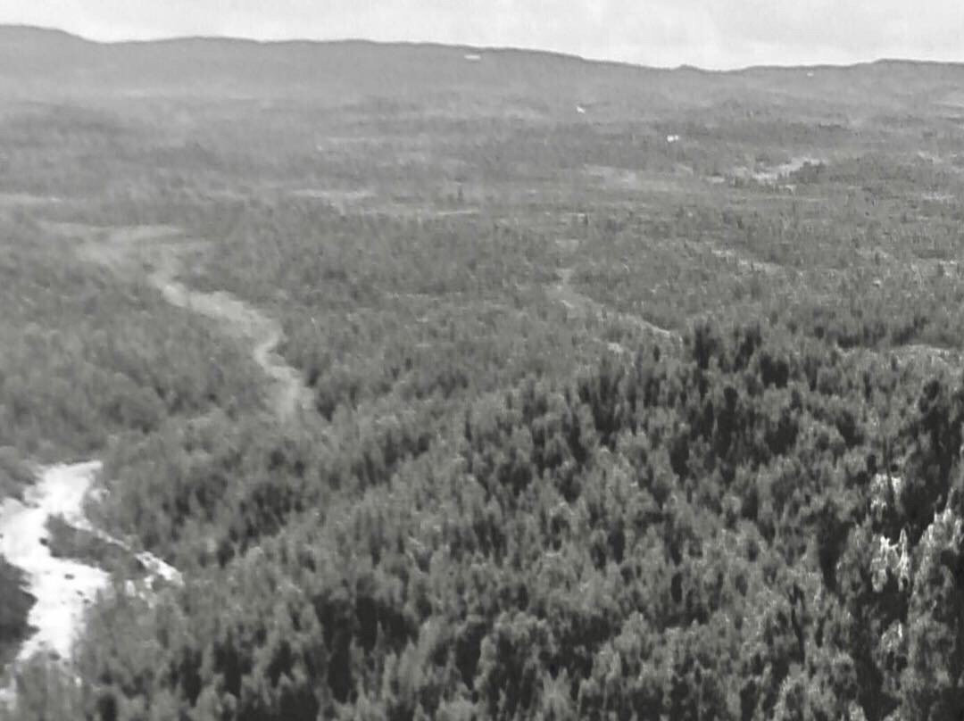 Ljungdalens Hemslojd & Cafe-Ljungdalen必去景点