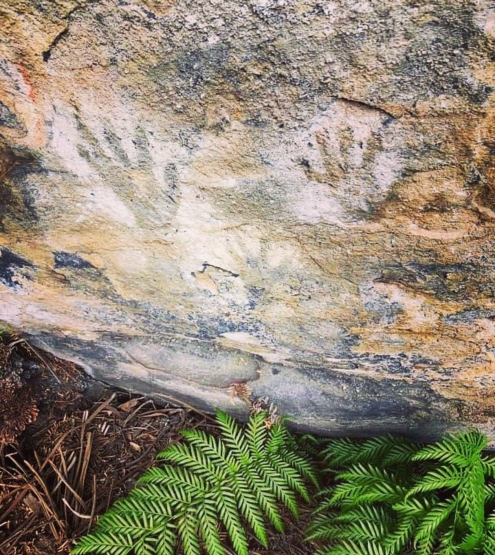 Blackfellows Hand Cave-利特高必去景点