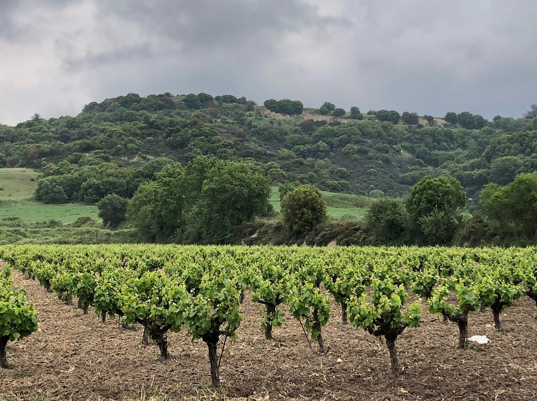 Makarounas Boutique Winery-Letymvou必去景点