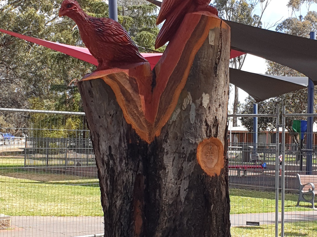 The McCann Park Tree Sculpture景点图片