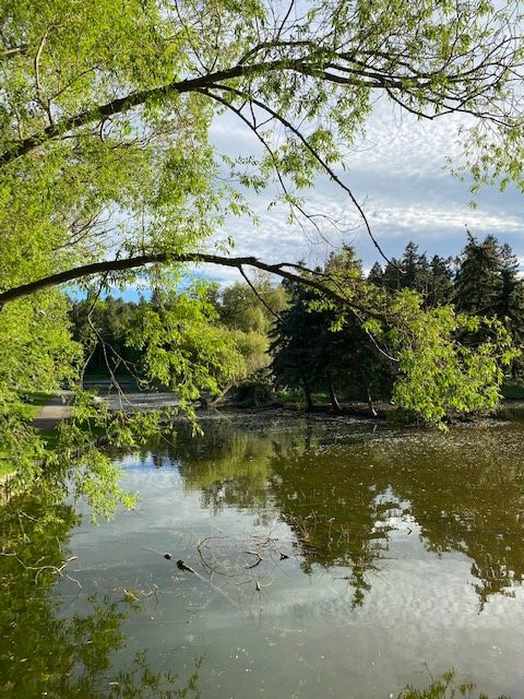 Woodland Water Park-卡利斯佩尔必去景点