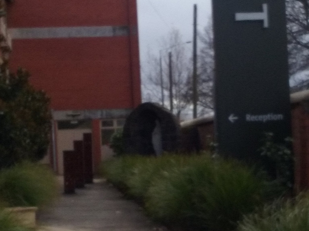 任务巴拉瑞特主图