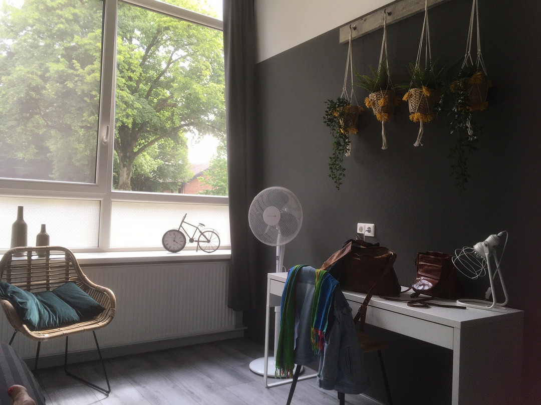 B&B De Wilhelminaschool主图