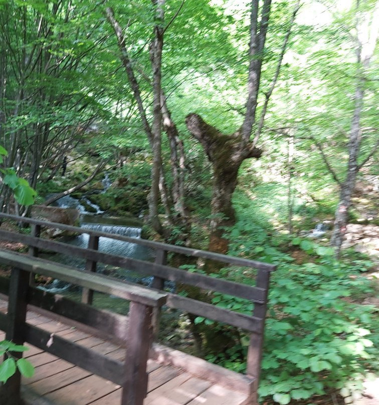 Grza-Paracin必去景点