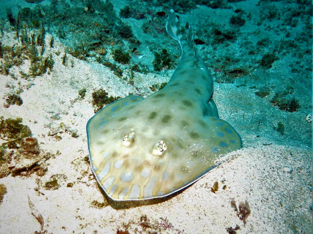 Twobar Scuba-索德瓦纳必去景点