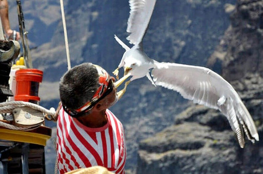 DUPLICATED-圣克鲁斯-德特内里费必去景点