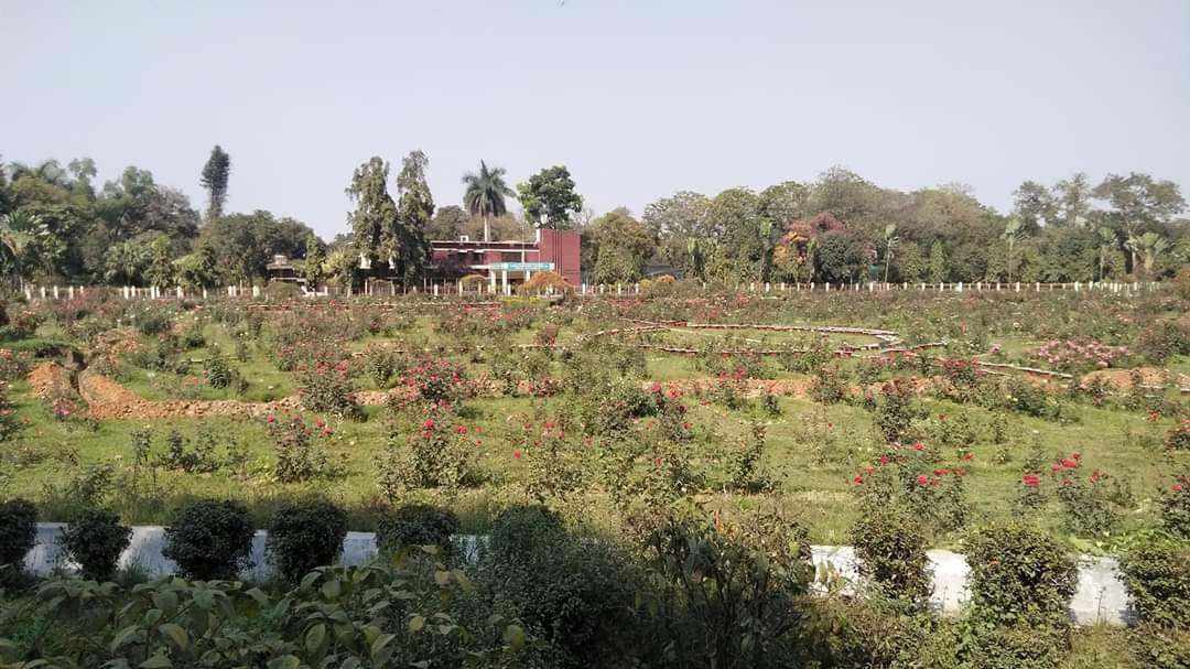 National Botanical Garden景点图片