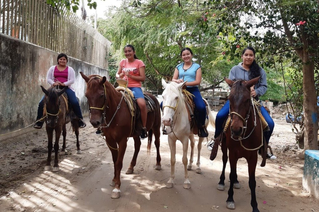 Rancho Manolo Horseback Tours景点图片