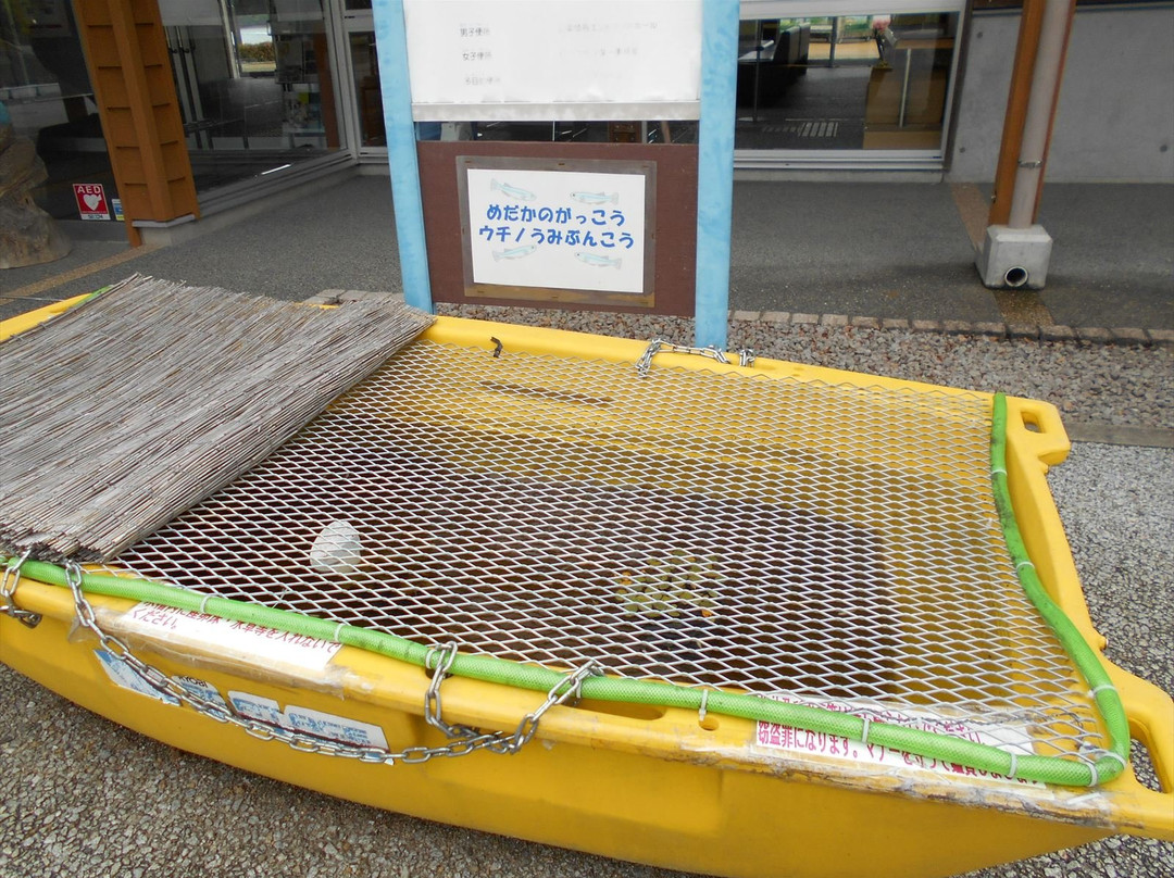 Naruto Uchino Sea Park-鸣门市必去景点