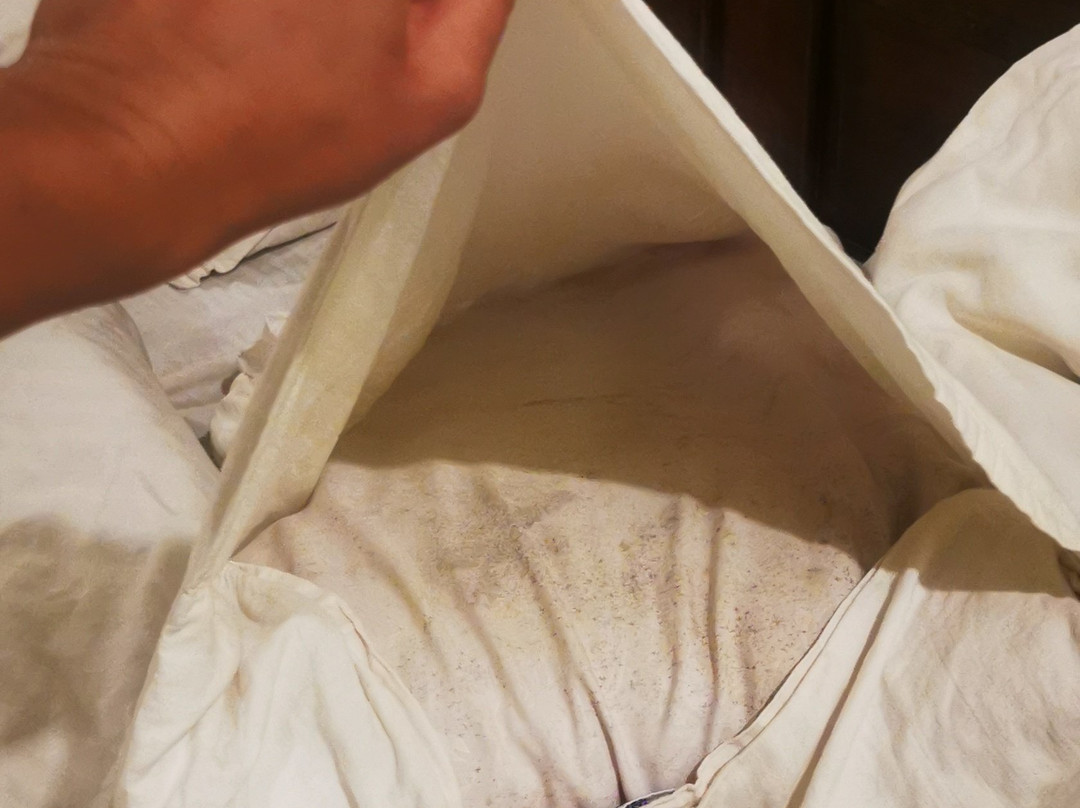 Capital O 12343 Aarya Boulevard主图