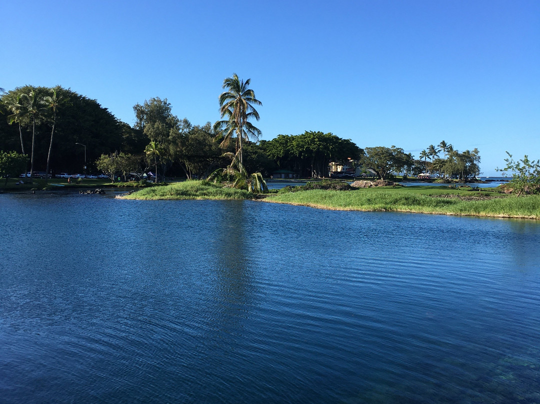 Reeds Bay Beach Park-希洛必去景点