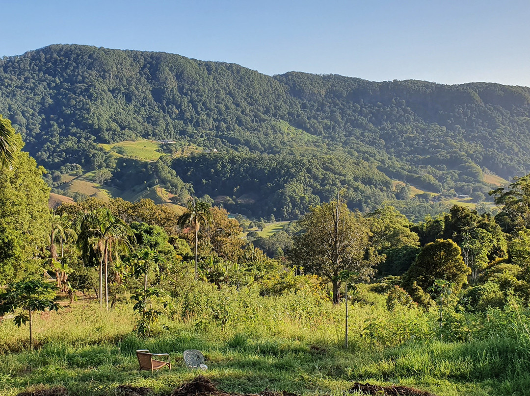 Arthur Freeman Lookout-可伦宾必去景点