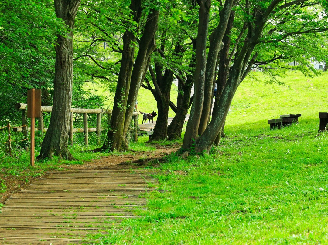 Komiya Park-八王子市必去景点