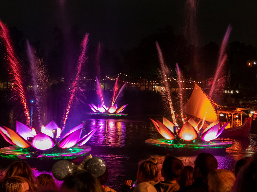 Rivers of Light-奥兰多必去景点