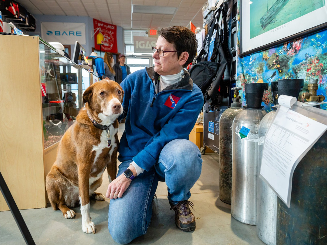 Aquatic Adventures of Michigan