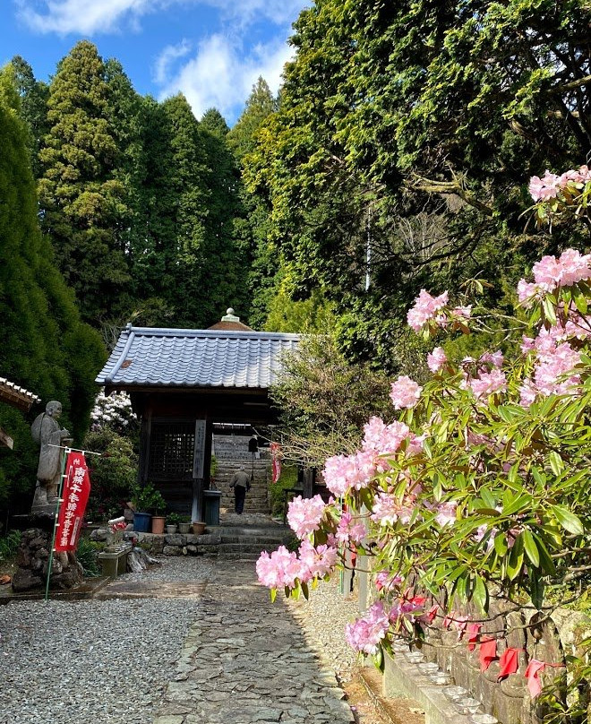 Jinkakuji Temple景点图片