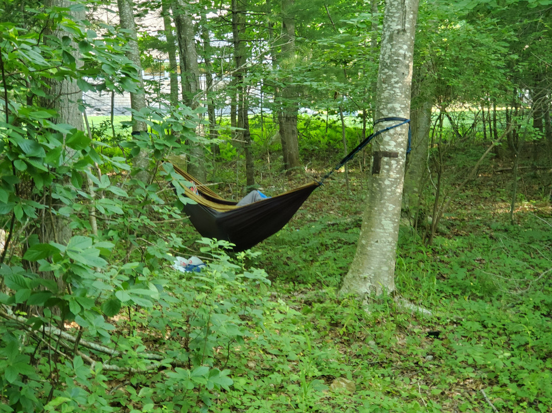 Wompatuck State Park景点图片