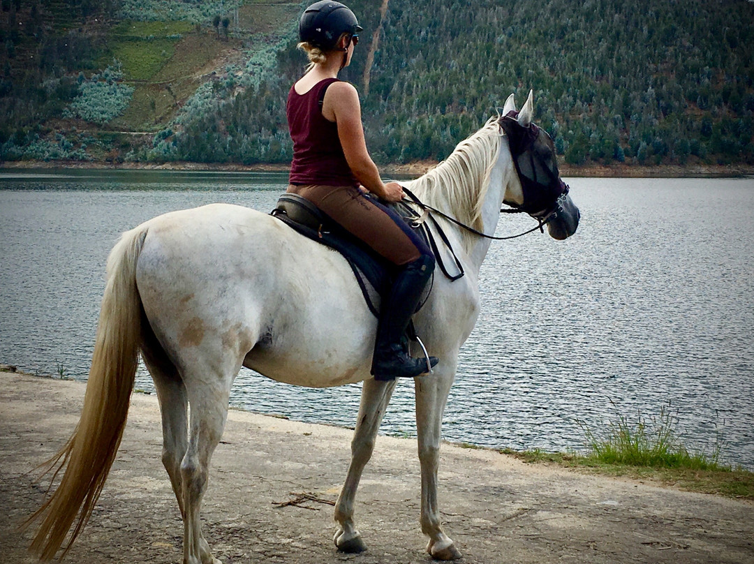 Quinta Lusitânia Riding School景点图片