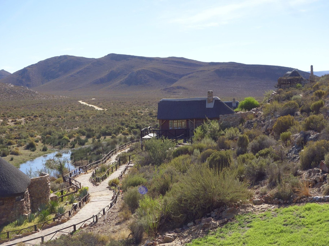 Aquila Private Game Reserve主图