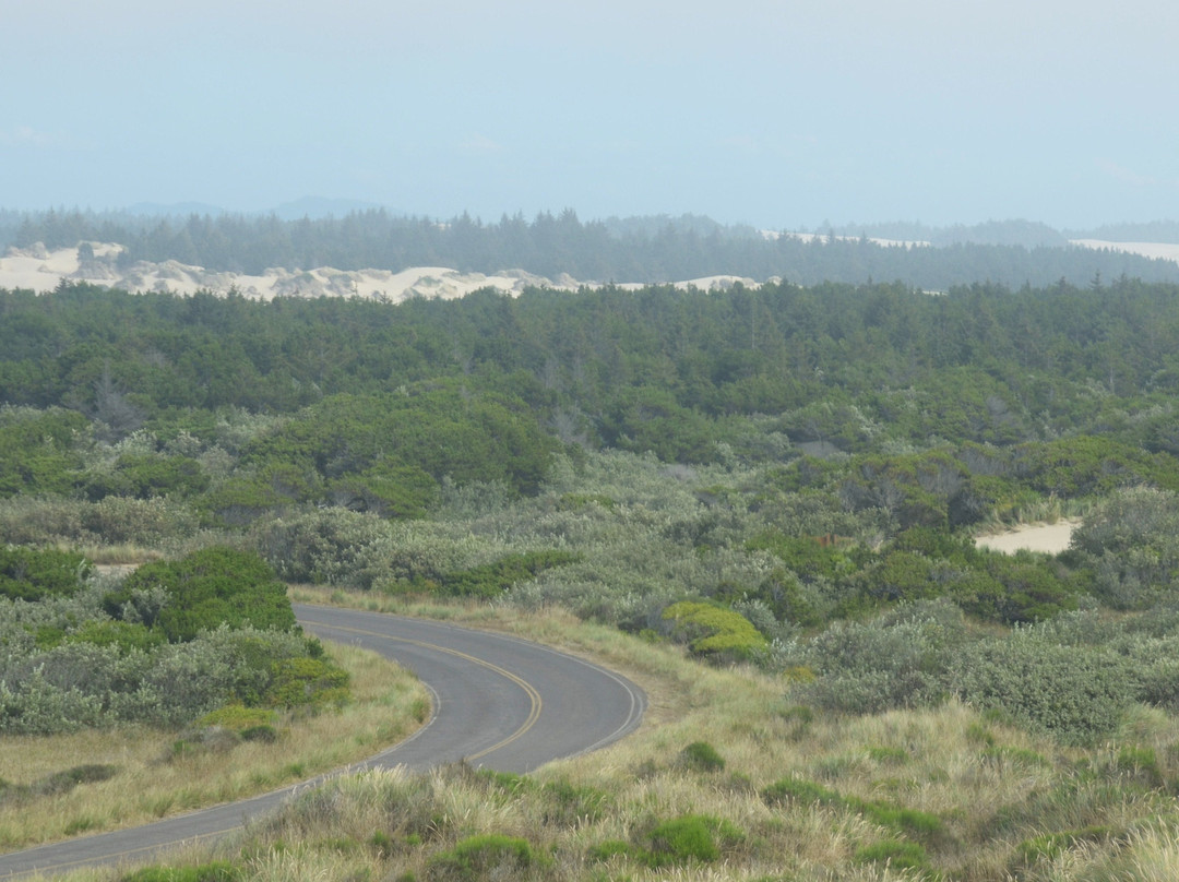 South Jetty County Park-弗洛伦斯必去景点