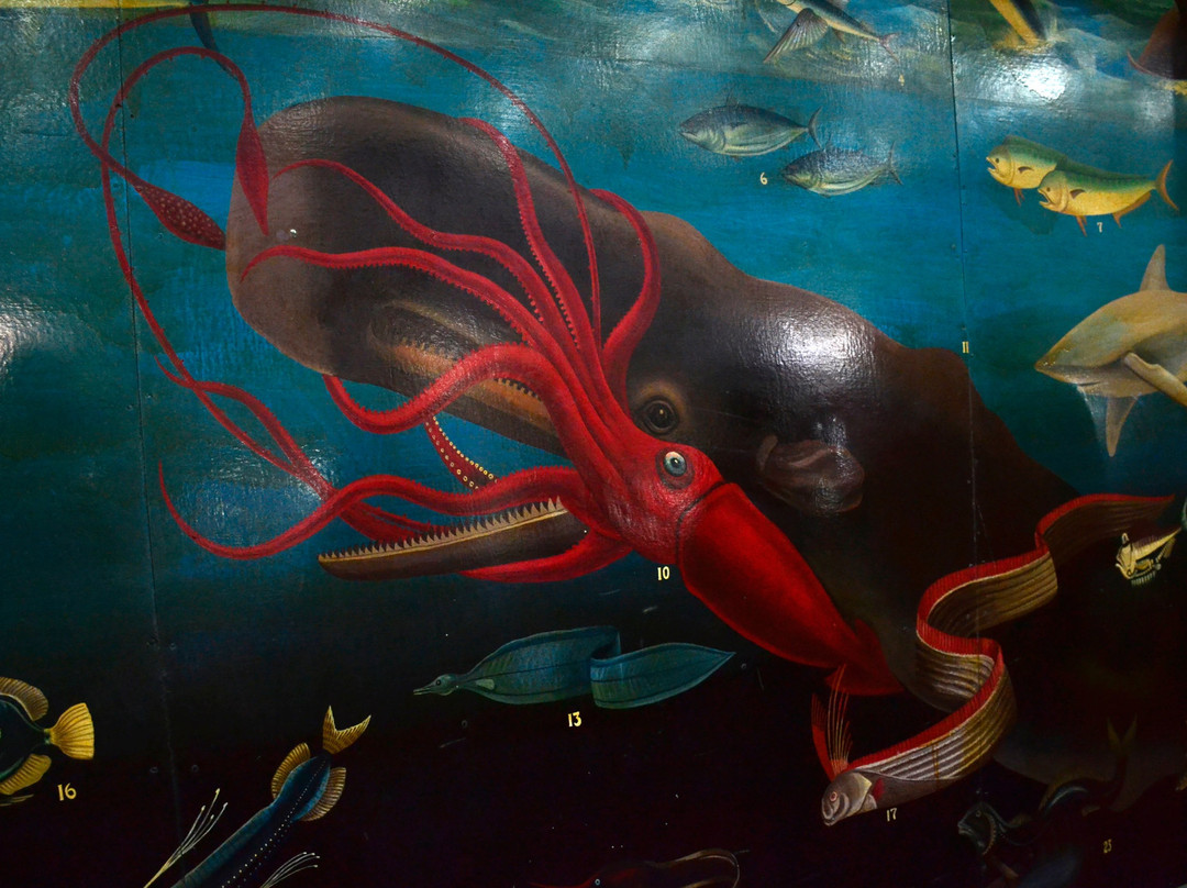 Kavaratti Island Marine Aquarium-Kavaratti Island必去景点