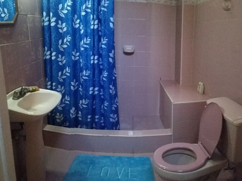 Roly Colonial House Behind Capitol主图