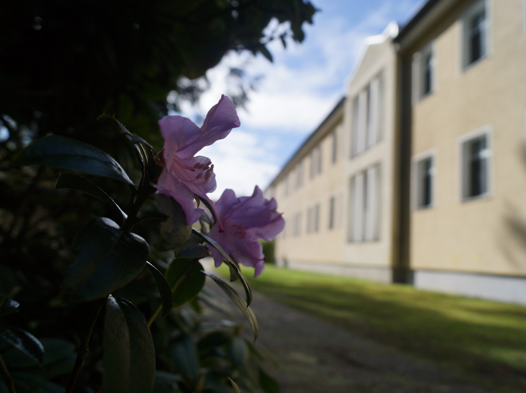 Waldhotel am See Berlin-Schmockwitz主图