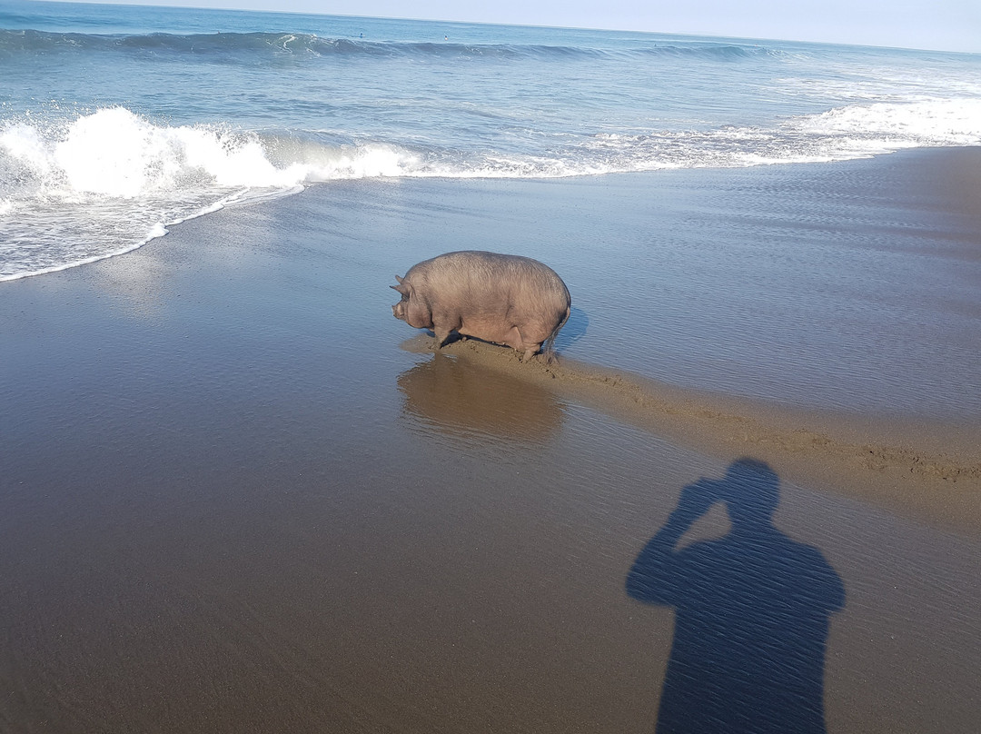 Terraza Del Pacifico主图