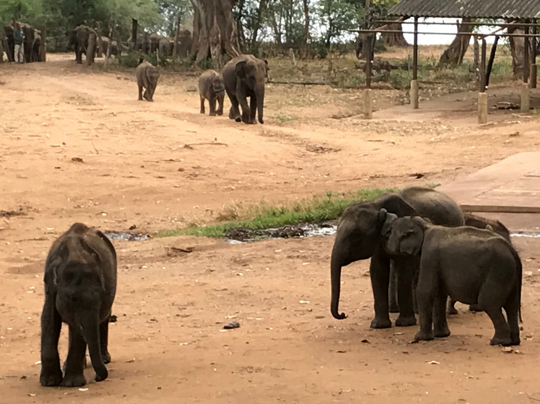 Kumar Tours-Aluthgama必去景点