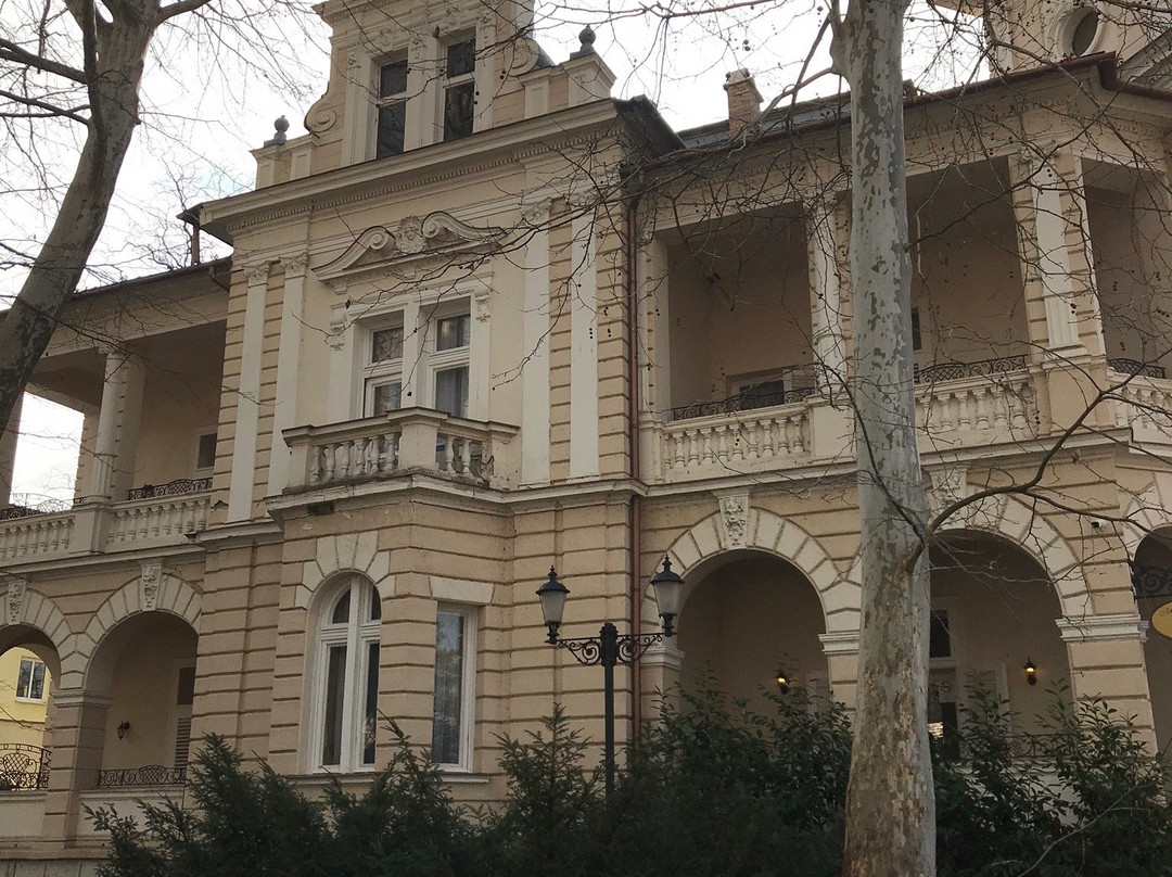 Jokai Villa Hotel主图