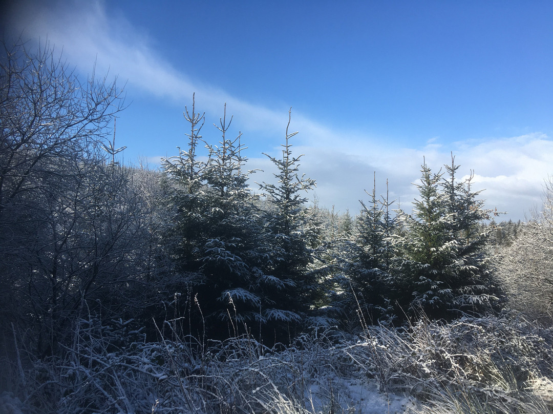Gortin Glen Forest Park景点图片