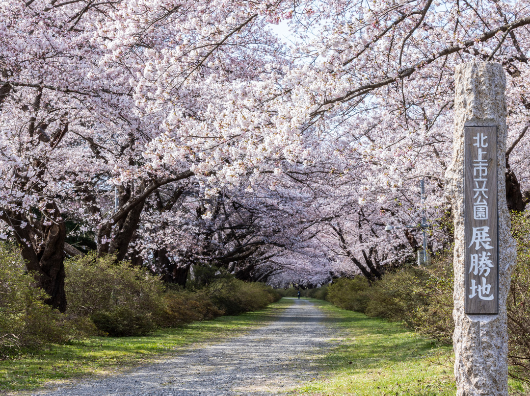 Tenshochi Park-北上市必去景点