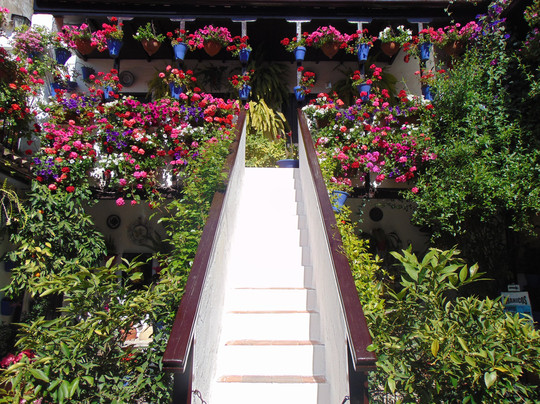 Eventour-科尔多瓦必去景点