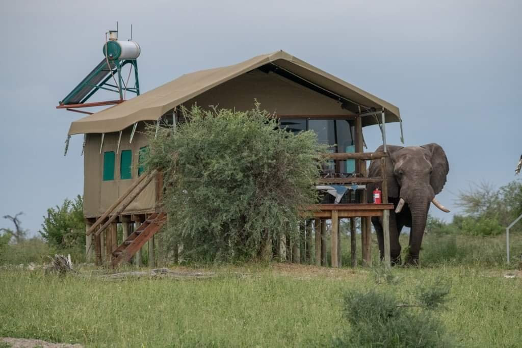 Tail Spotter Safari-莫洛哥罗必去景点