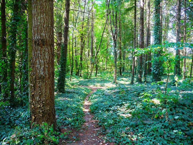 Champoeg State Heritage Area-Saint Paul必去景点